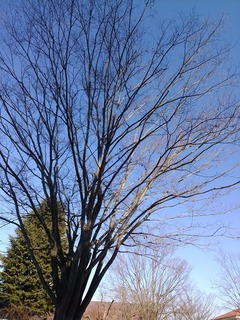 IMG_20170215_150548.jpg